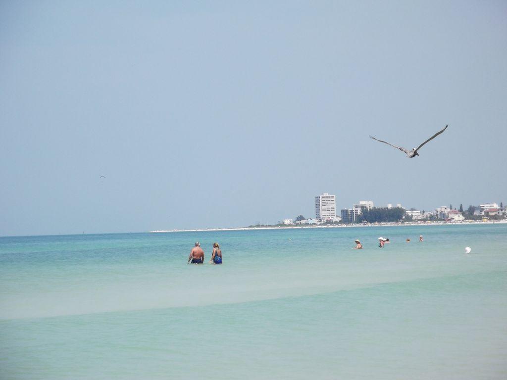 1+1 Large Condo Sarasota Bagian luar foto